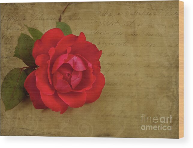 Rose Wood Print featuring the photograph A Rose by Any Other Name by Lena Auxier