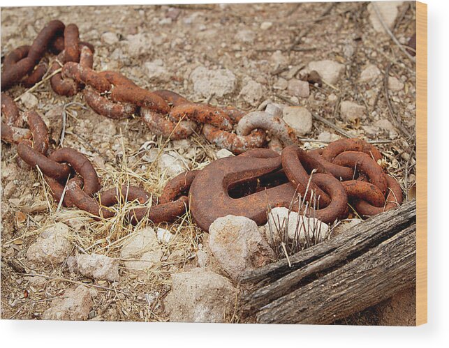 Chain Wood Print featuring the photograph A Rusty Chain And Hook by Phyllis Denton