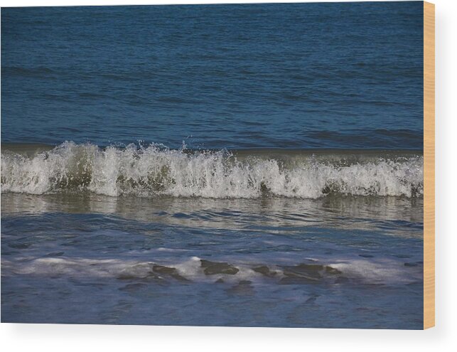 Sea Wood Print featuring the photograph A Sea of Delight by Michiale Schneider