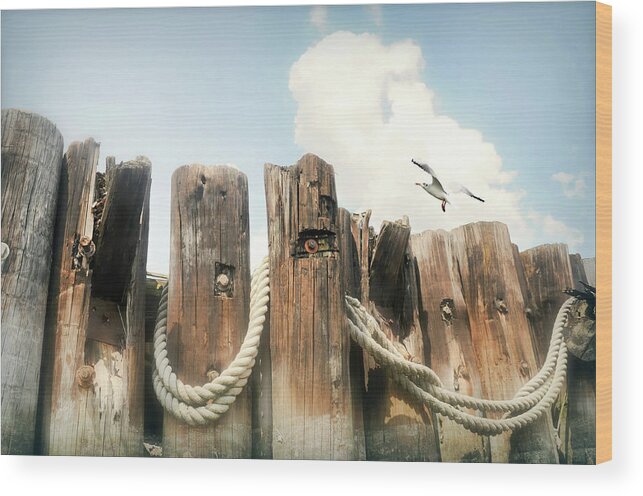 Nature Wood Print featuring the photograph It's A Shore Thing by Diana Angstadt
