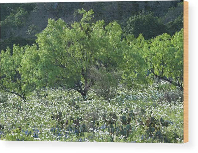 Texas Wood Print featuring the photograph A spring scene in Texas. by Usha Peddamatham
