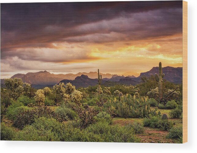 Sunrise Wood Print featuring the photograph A Spring Sunrise in the Sonoran by Saija Lehtonen