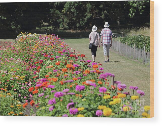 A Stroll In The Garden Wisley Uk Pretty Flowers Wood Print featuring the photograph A stroll in the garden by Julia Gavin