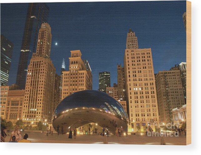 Anish Kapoor Wood Print featuring the photograph A View from Millenium Park at Night by David Levin