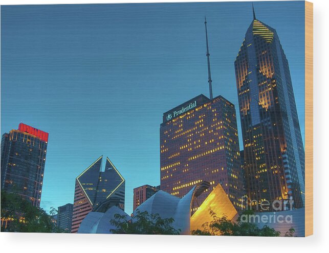 Chicago Wood Print featuring the photograph A View from Millenium Park by David Levin