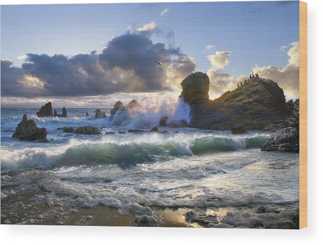 Ocean Wood Print featuring the photograph A Whisper In The Wind by Acropolis De Versailles
