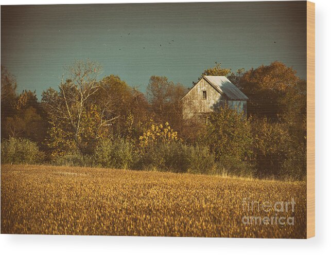 Rural Wood Print featuring the photograph Abandoned Barn Colorized by PIPA Fine Art - Simply Solid