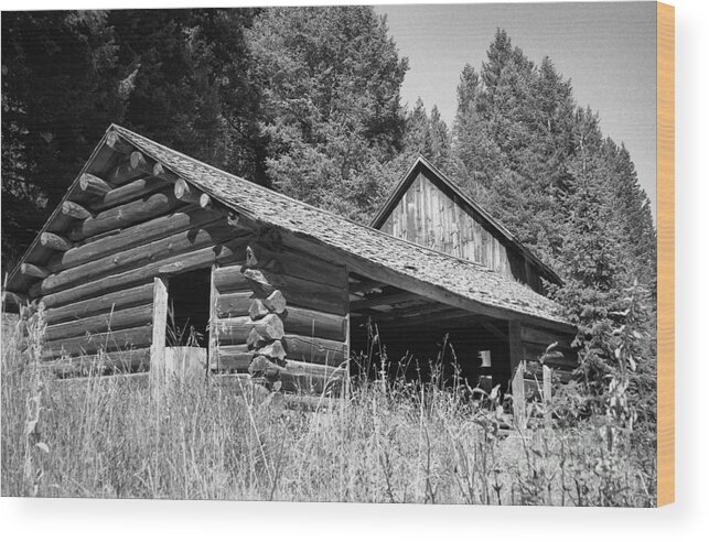 Cabin Wood Print featuring the photograph Abandoned Homestead by Richard Rizzo