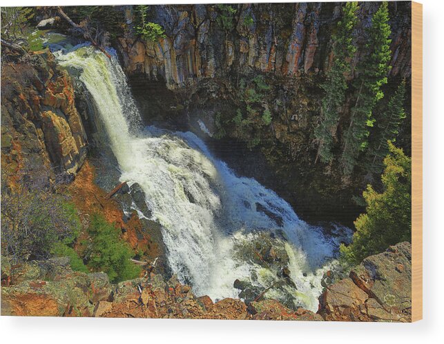 Undine Falls Wood Print featuring the photograph Above Undine Falls by Greg Norrell