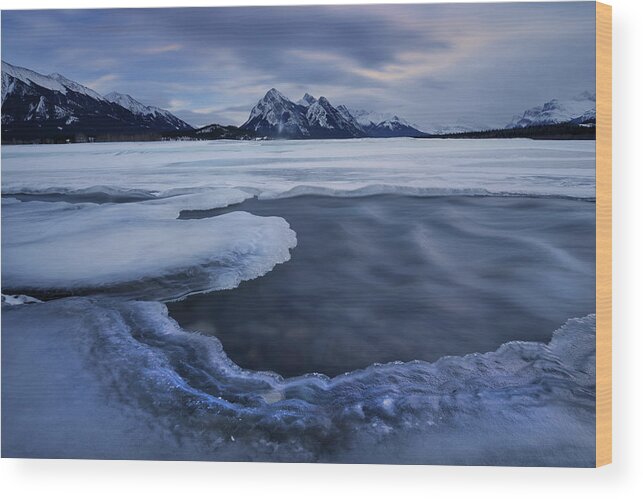 Abraham Lake Wood Print featuring the photograph Abraham Lake Sans Bubbles by Dan Jurak