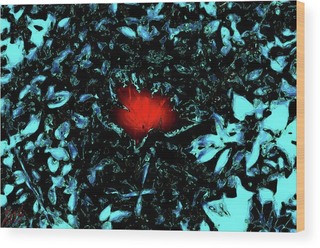 Abstract Wood Print featuring the photograph Abstract Poinsettia by Gina O'Brien