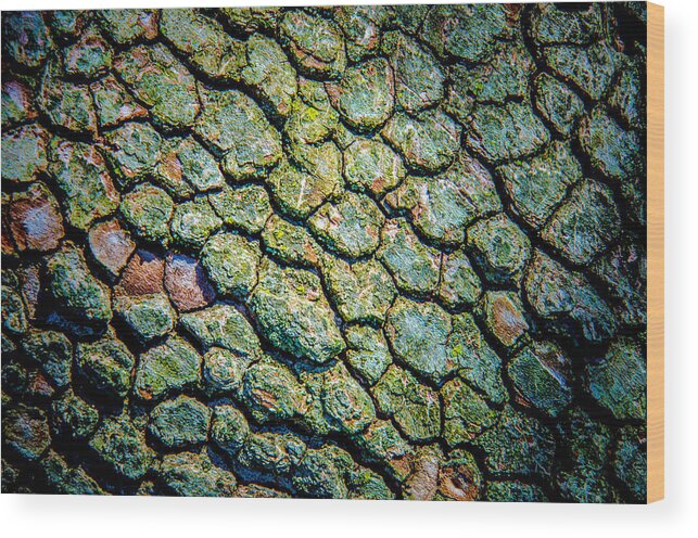 Bark Wood Print featuring the photograph Abstract tree bark by Bruce Pritchett