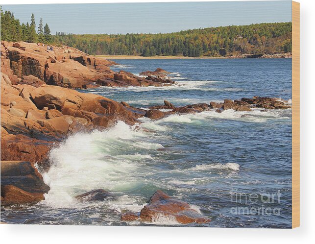 Acadia National Park Wood Print featuring the photograph Acadia Coast 3145 by Jack Schultz