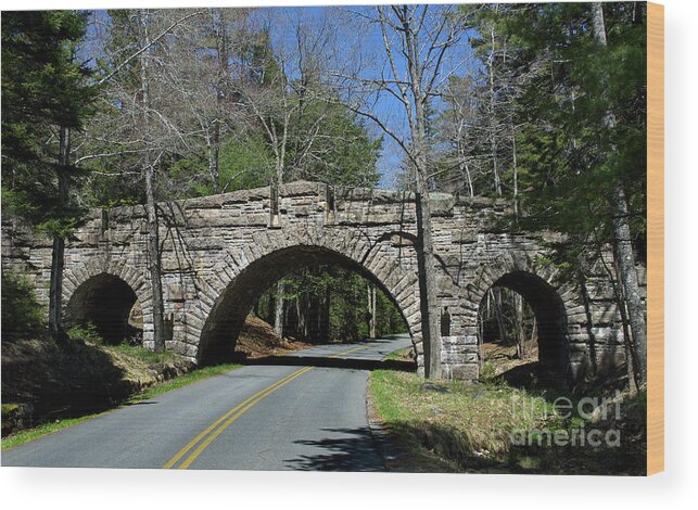 Scenic Tours Wood Print featuring the photograph Acadia Stone Bridge by Skip Willits