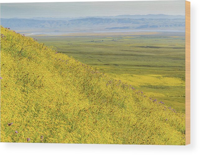 California Wood Print featuring the photograph Across the Plain by Marc Crumpler