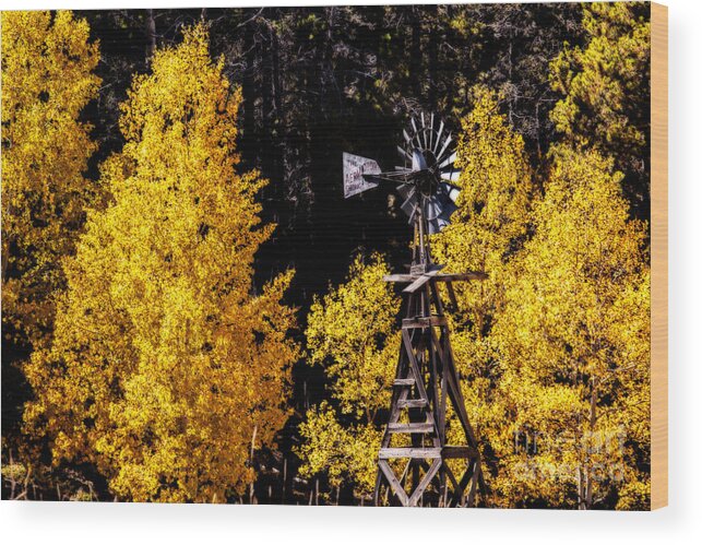 Wind Motor Wood Print featuring the photograph Aermotor by Jim Garrison