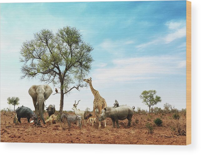 Safari Wood Print featuring the photograph African Safari Animals Meeting Together Around Tree by Good Focused