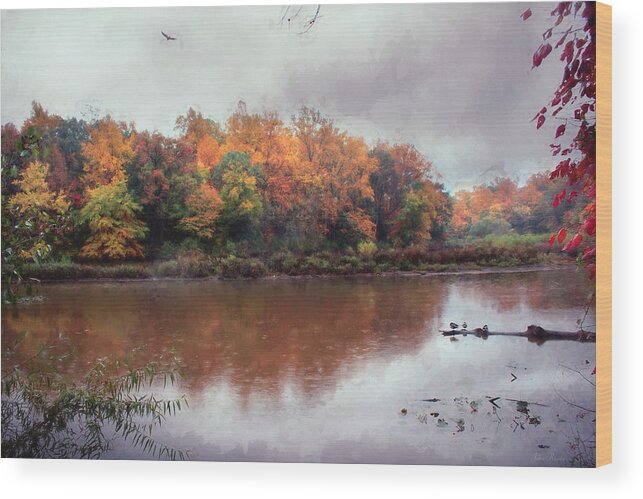 Rain Wood Print featuring the photograph Afternoon Rain by John Rivera
