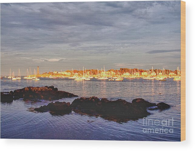 #jefffolger Wood Print featuring the photograph Afternoon sun on Marblehead neck by Jeff Folger