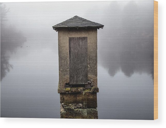 Against The Fog Wood Print featuring the photograph Against The Fog by Karol Livote