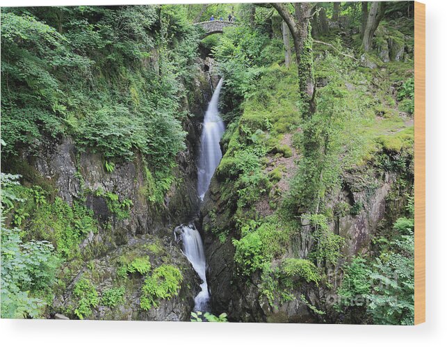 Aira Force Wood Print featuring the photograph Aira Force Waterfall, Aira Beck, Ullswater, Lake District by Dave Porter