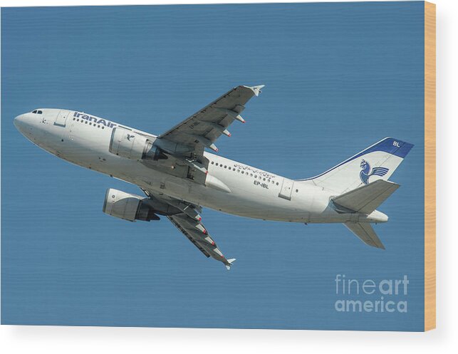 Passenger Wood Print featuring the photograph Airbus A310 departed from Malpensa Airport by Roberto Chiartano