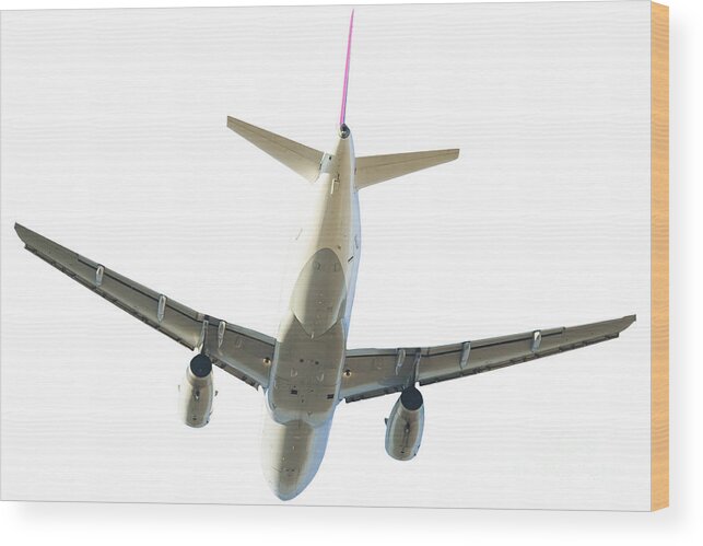 Aircraft Wood Print featuring the photograph Airplane Back On White by Benny Marty