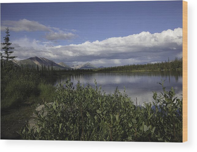 Alaska Wood Print featuring the photograph Alaska The Beautiful 1 by Madeline Ellis