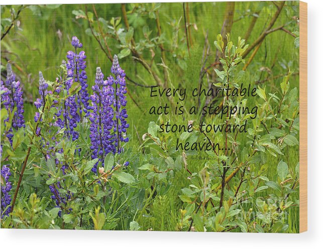 Diane Berry Wood Print featuring the photograph Alaskan Lupine Heaven by Diane E Berry