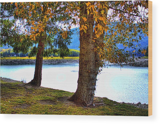 Lake Wood Print featuring the photograph Alder Lake in the Fall by David Patterson