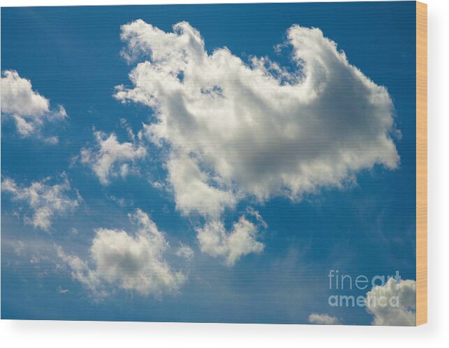 Clouds Wood Print featuring the photograph Alf by Mopics Eu