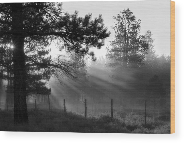 Almost To Fairyland Wood Print featuring the photograph Almost to Fairyland - God Rays by Nikolyn McDonald