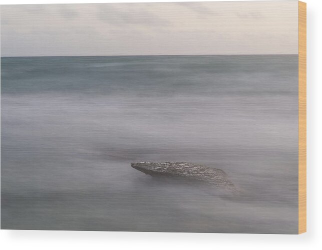 Beach Wood Print featuring the photograph Alone by Alex Lapidus