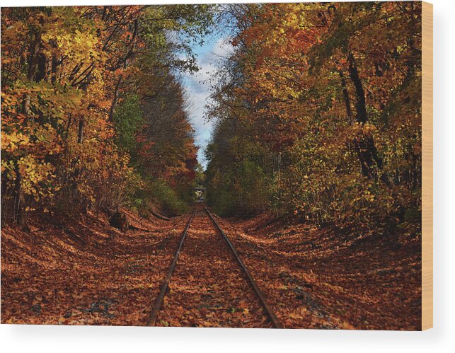 Tree Wood Print featuring the photograph Along The Rails by Tricia Marchlik