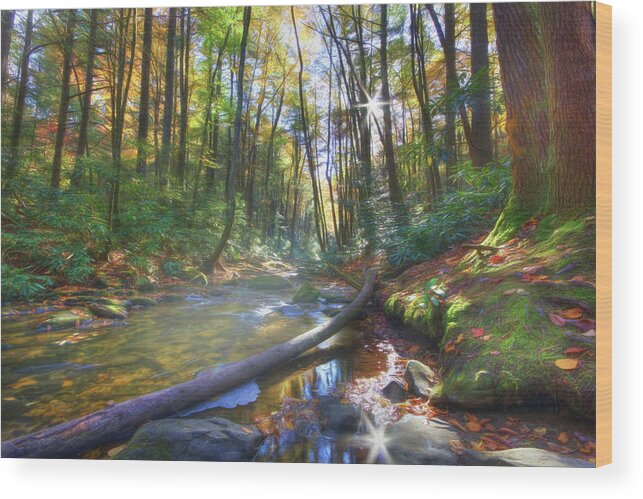 Landscape Wood Print featuring the digital art Along the Trail in Georgia by Sharon Batdorf