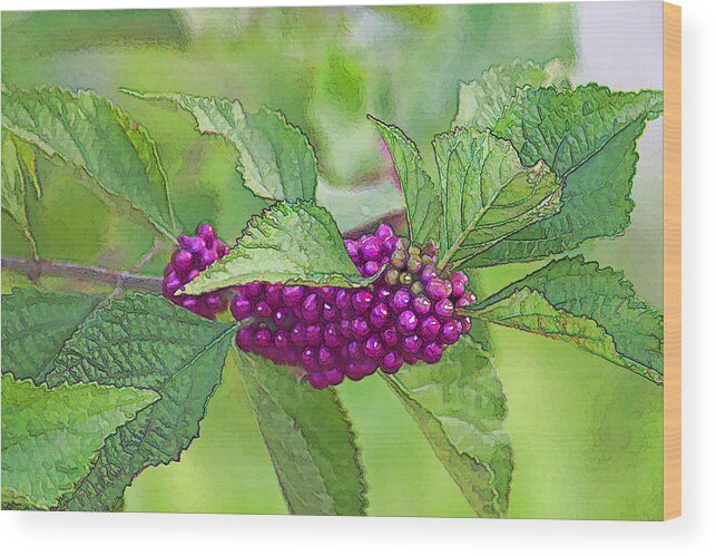 American Beautyberry Wood Print featuring the photograph American Beautyberry by HH Photography of Florida