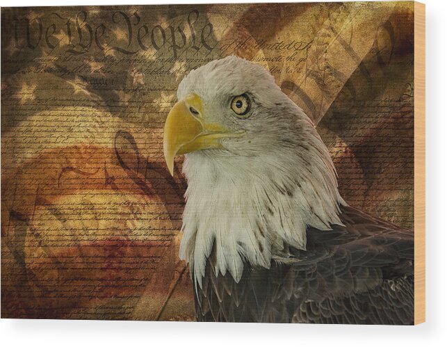 American Bald Eagle Wood Print featuring the photograph American Icons by Susan Candelario