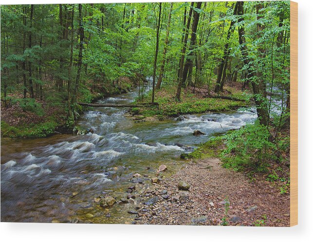 Nature Wood Print featuring the photograph Amethyst Brook in Amherst MA by Richard Goldman