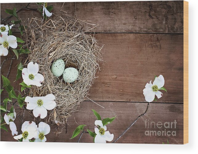 Nest Wood Print featuring the photograph Amid the Dogwood Blossoms by Stephanie Frey