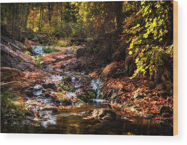 Creekside Wood Print featuring the photograph An Arizona Autumn Creekside by Saija Lehtonen