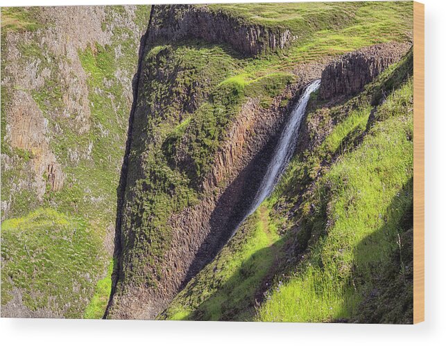 Waterfall Wood Print featuring the painting Ancient Cascade by Frank Wilson