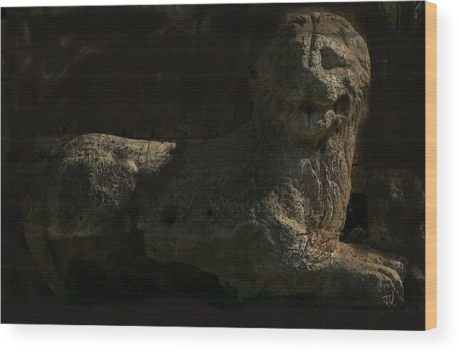 Sculpture Wood Print featuring the photograph Ancient Lion - Nocisia by Jim Vance