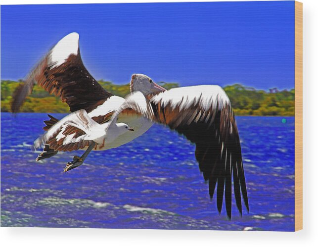 Pelican Wood Print featuring the photograph And The Seagull Follows Pelican by Miroslava Jurcik