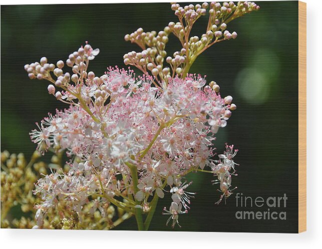 Floral Wood Print featuring the photograph And Then She Decided To Dance With Her Soul by Robyn King