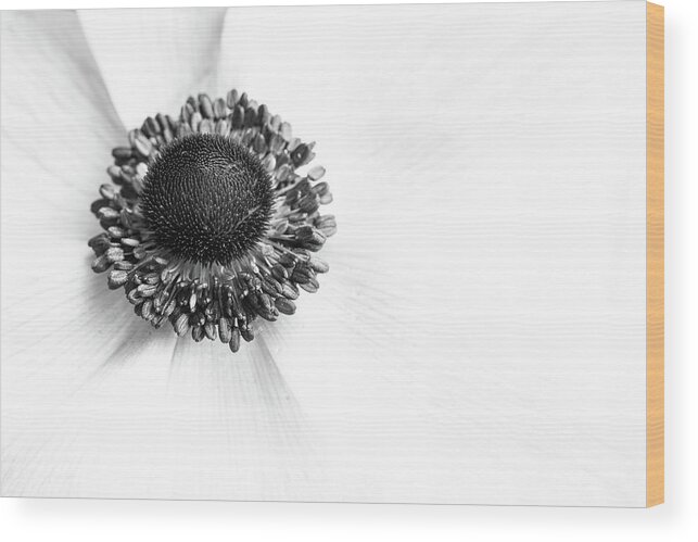 Anemone Wood Print featuring the photograph Anemone Bloom by Kristen Wilkinson