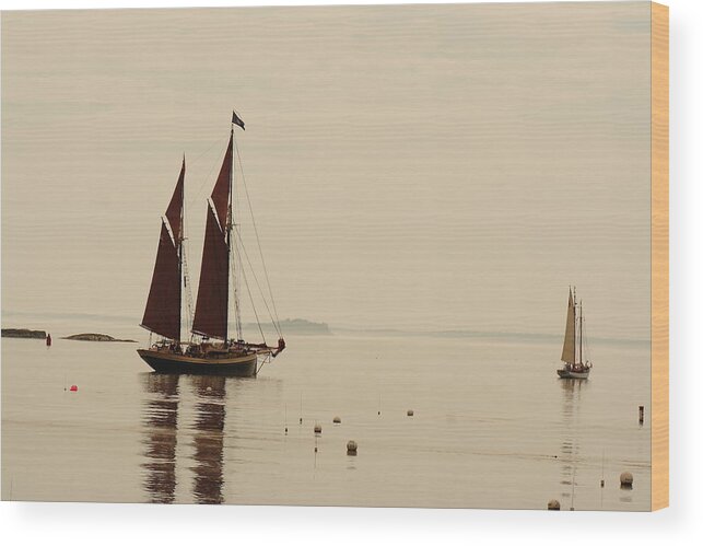 Seascape Wood Print featuring the photograph Angelique Leaving Camden by Doug Mills