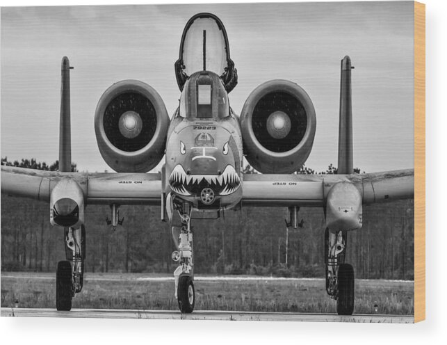  A10; Warthog; Aviation; Aircraft; Airplane; Military; Air; Force; Usaf; Avenger; Cannon; Gattling; Black; White; Gray; Johnnie; Green; East; Coast; Demo Wood Print featuring the photograph Angry, Wet Hog by Chris Buff