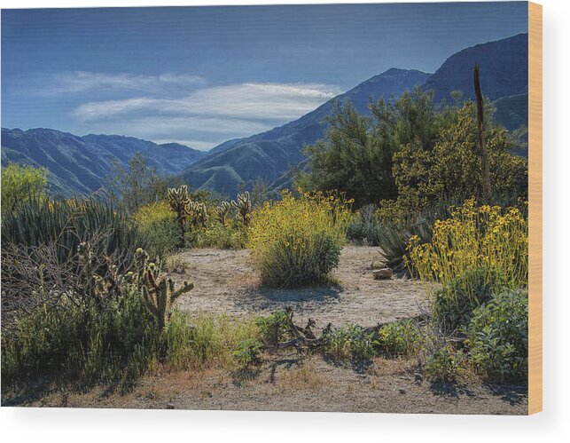 Art Wood Print featuring the photograph Anza-Borrego Desert State Park Desert Flowers by Randall Nyhof