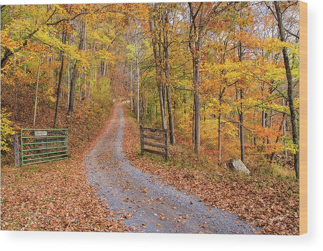 Fall Foliage Wood Print featuring the photograph Appalachian Autumn by Jurgen Lorenzen