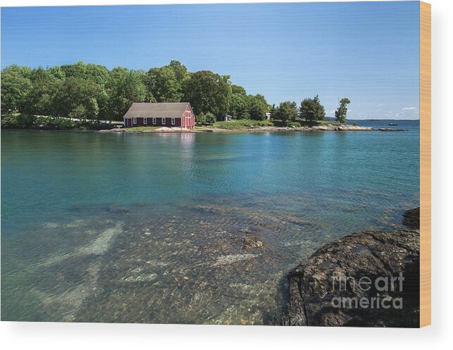 Maine Wood Print featuring the photograph Aqua Bold by Karin Pinkham